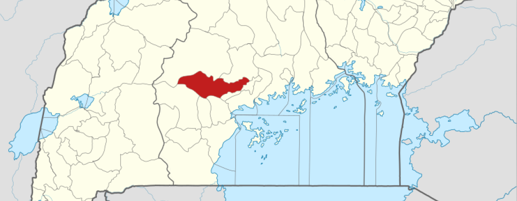 Gomba in Uganda